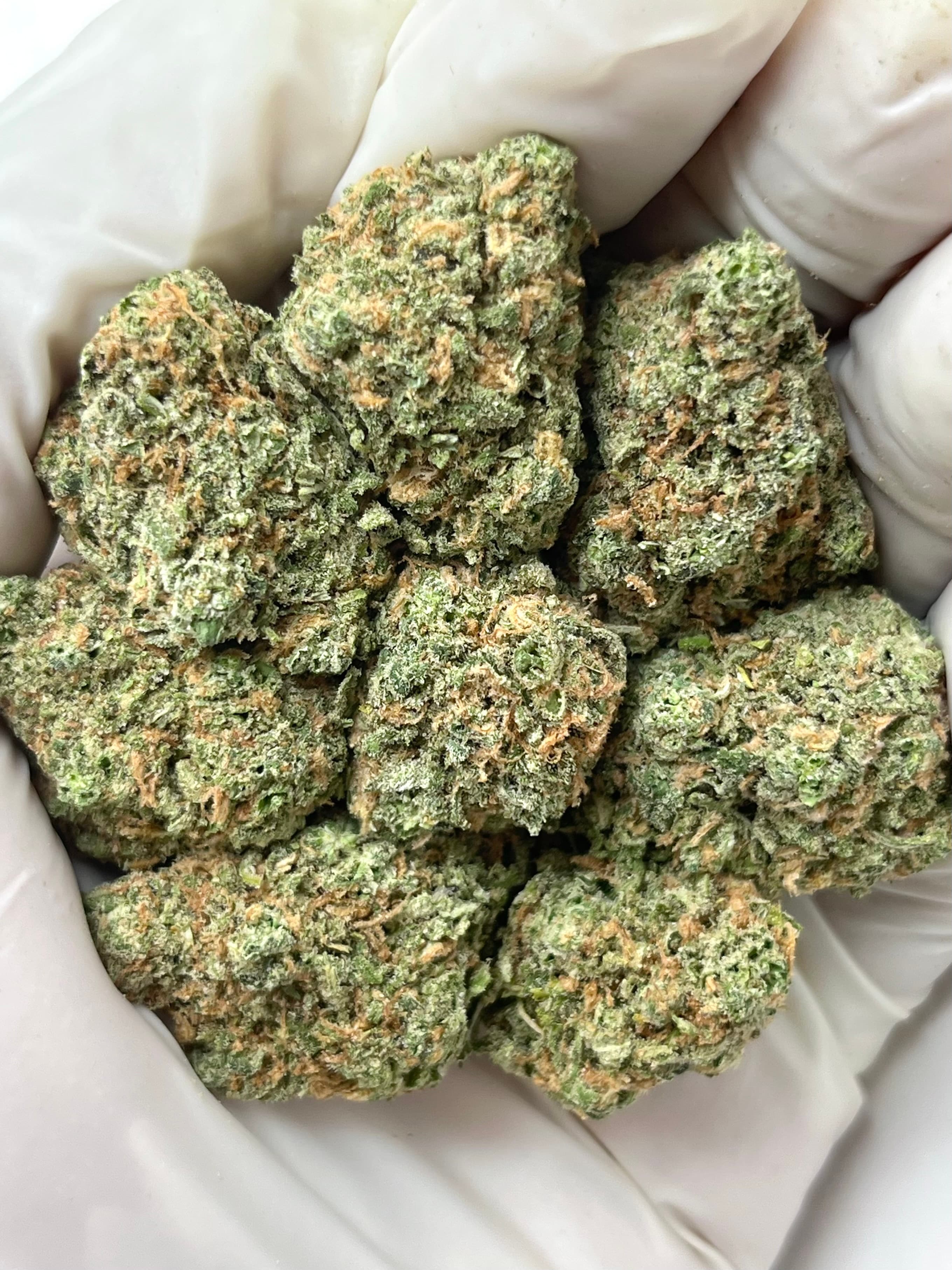 Blue Dream, Big, photo