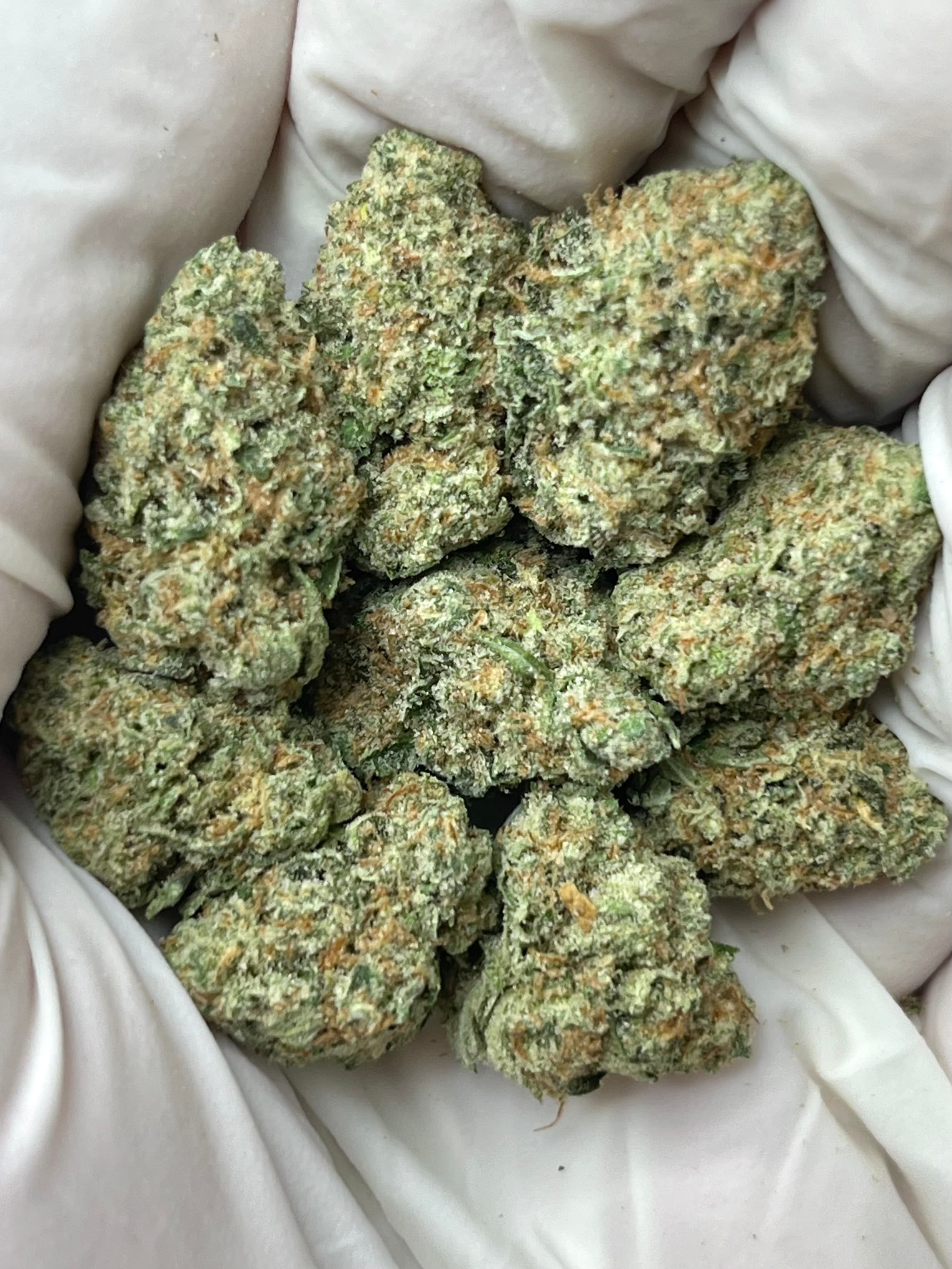 Blue Skunk, Small, photo