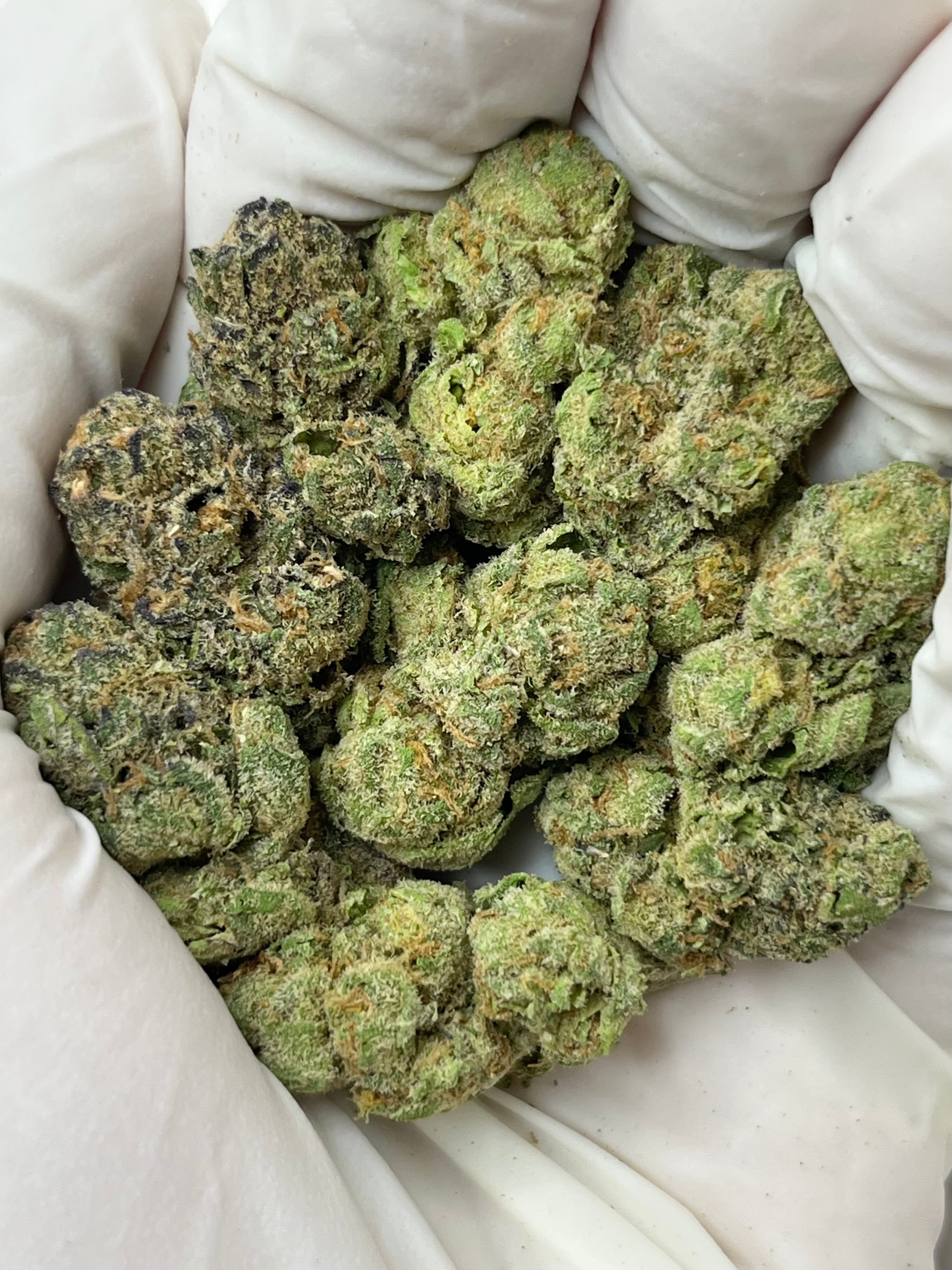 Blue Taffeez, Big, photo