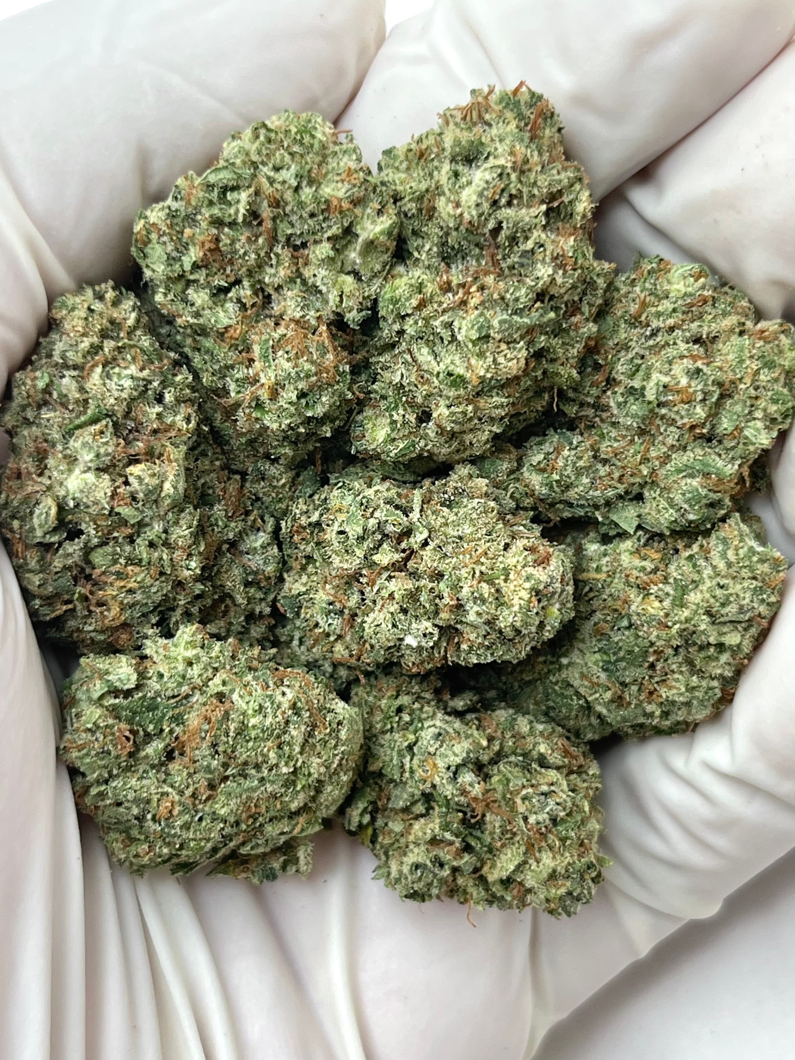 Lilac Diesel, Big, photo