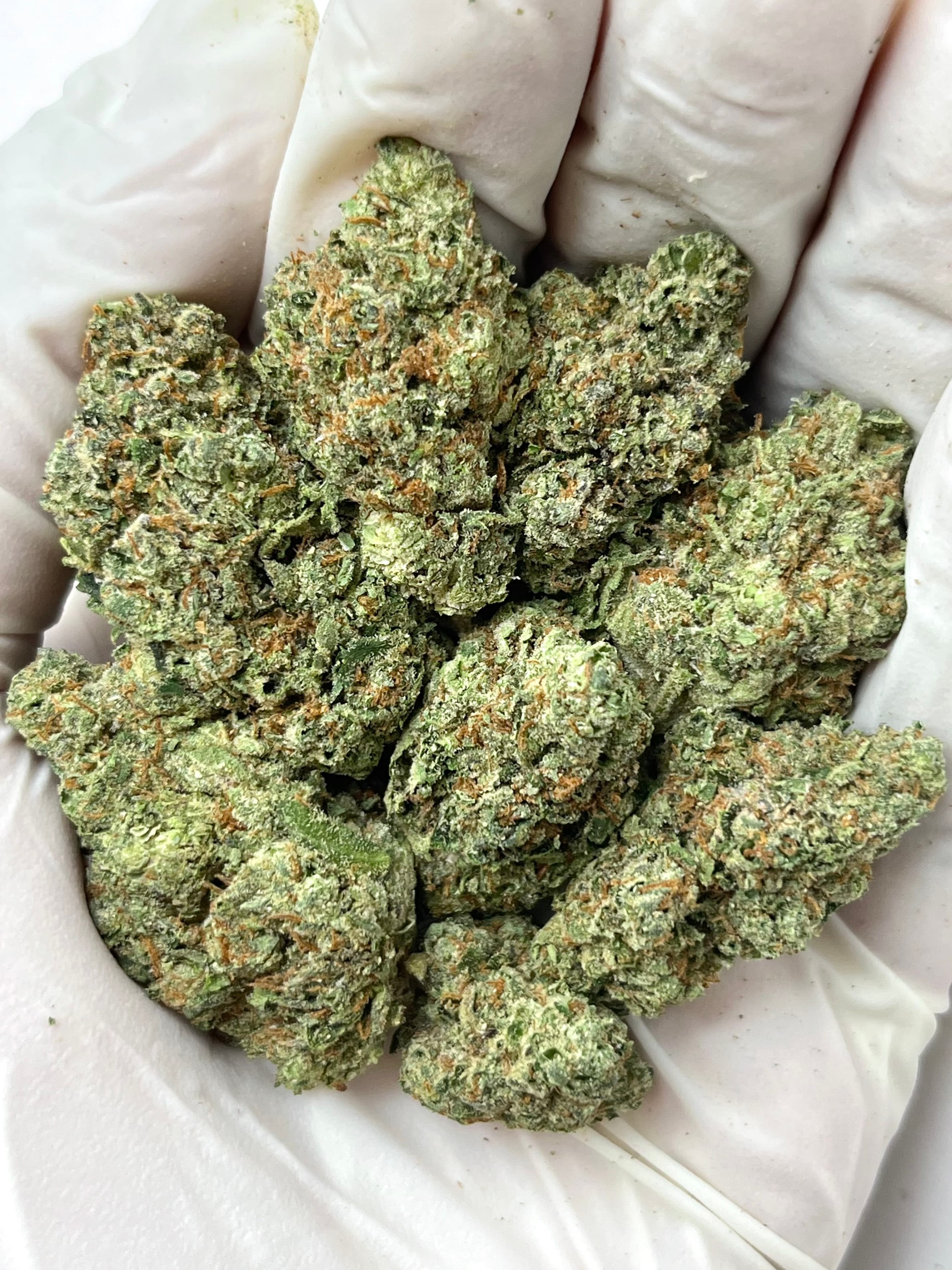 Biscotti Cream, Big, photo