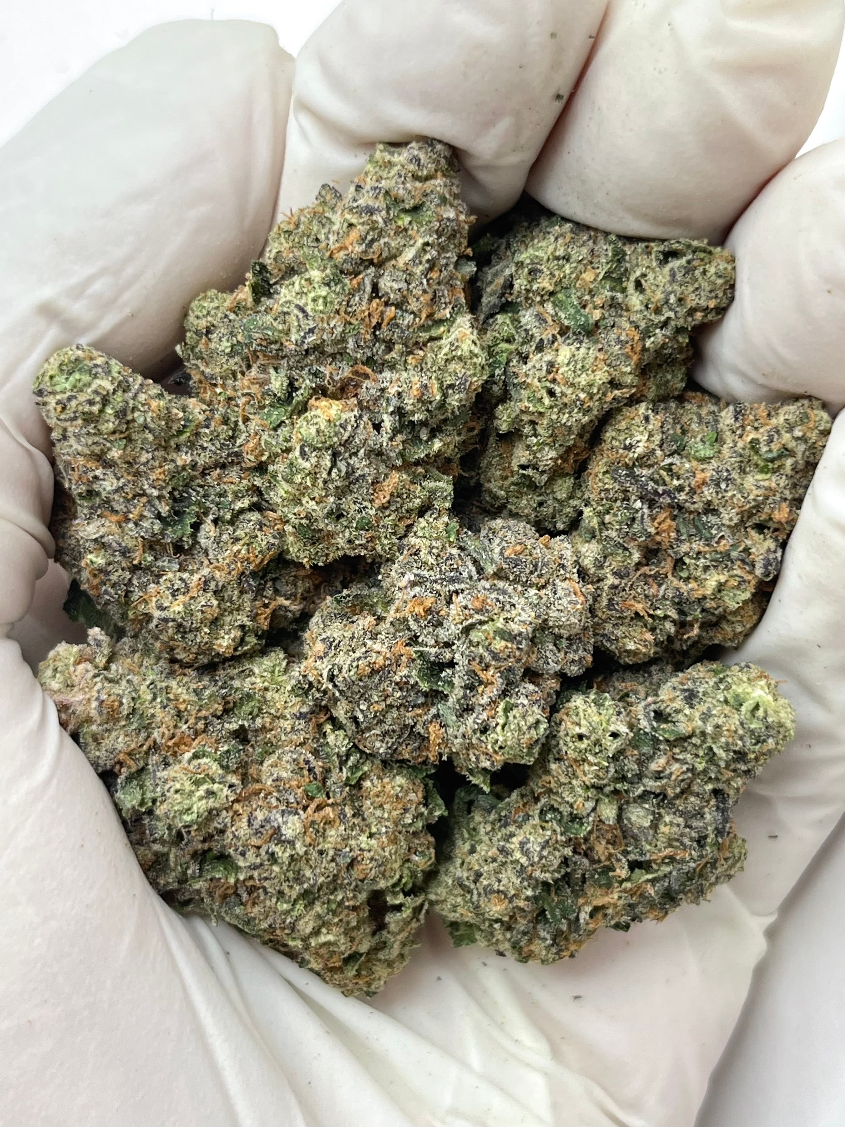 Apple Fritter, Big, representative photo of this strain
