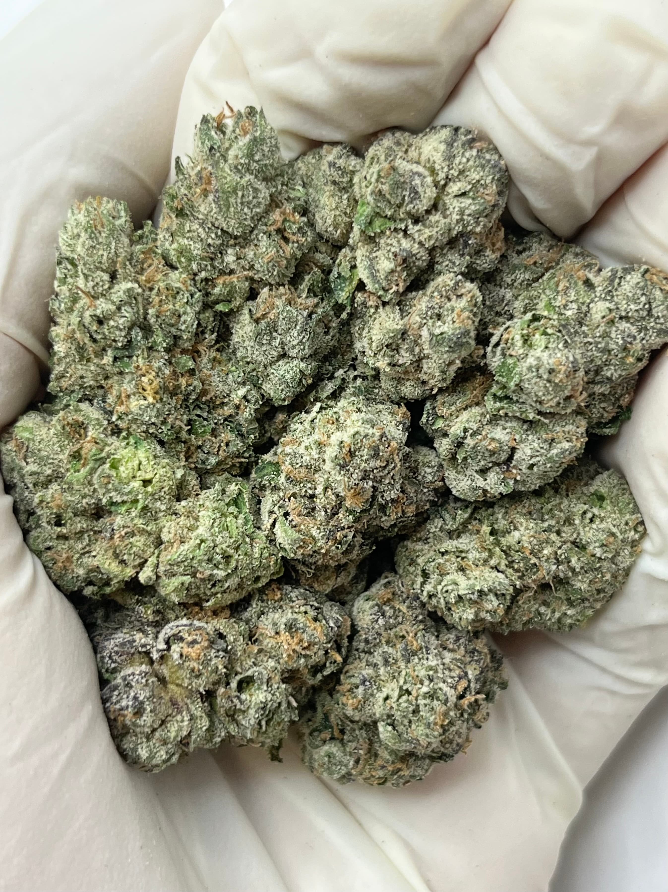 Berry Blueprint, Big, photo
