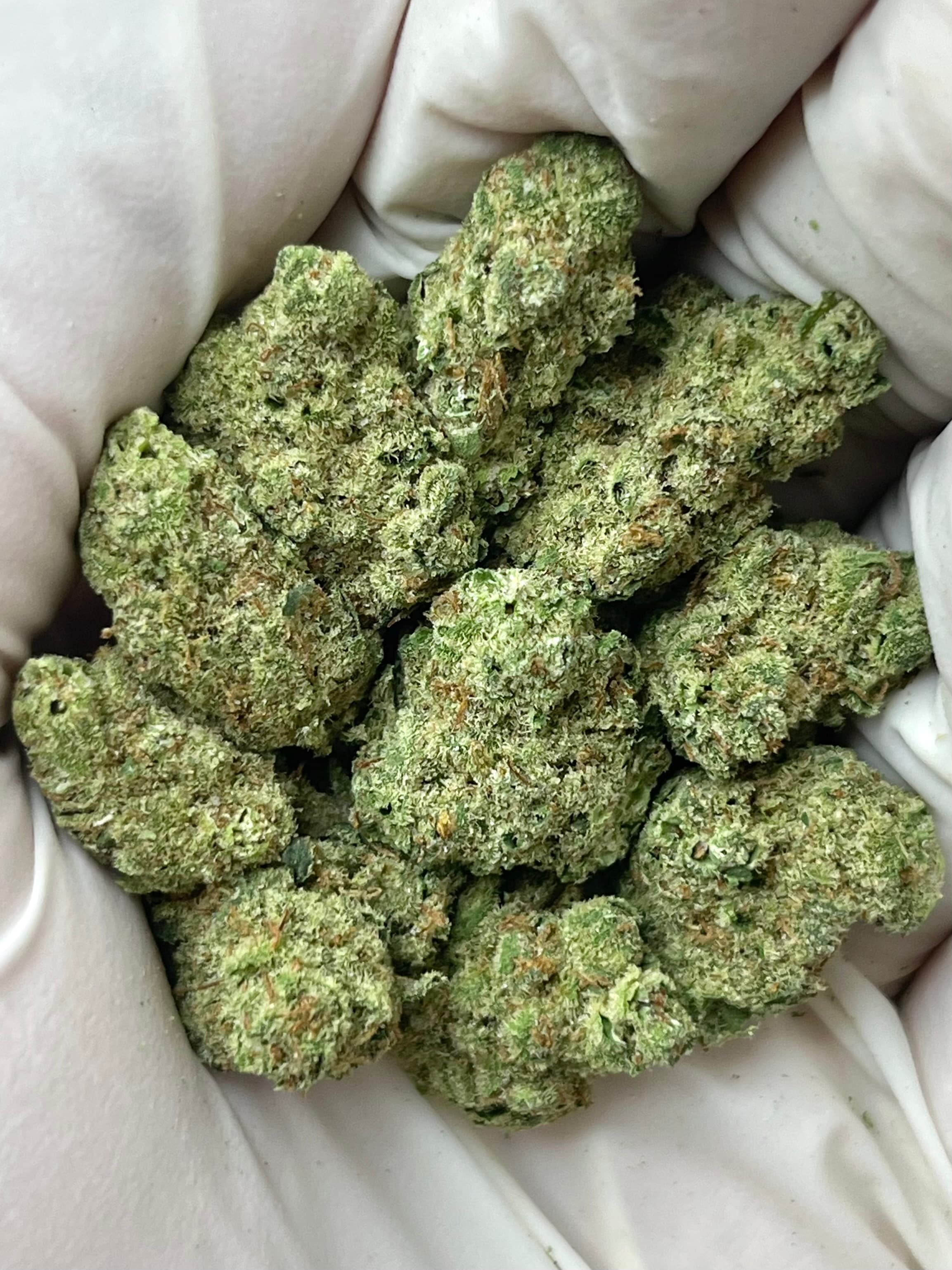 Banjo, Medium, representative photo of this strain