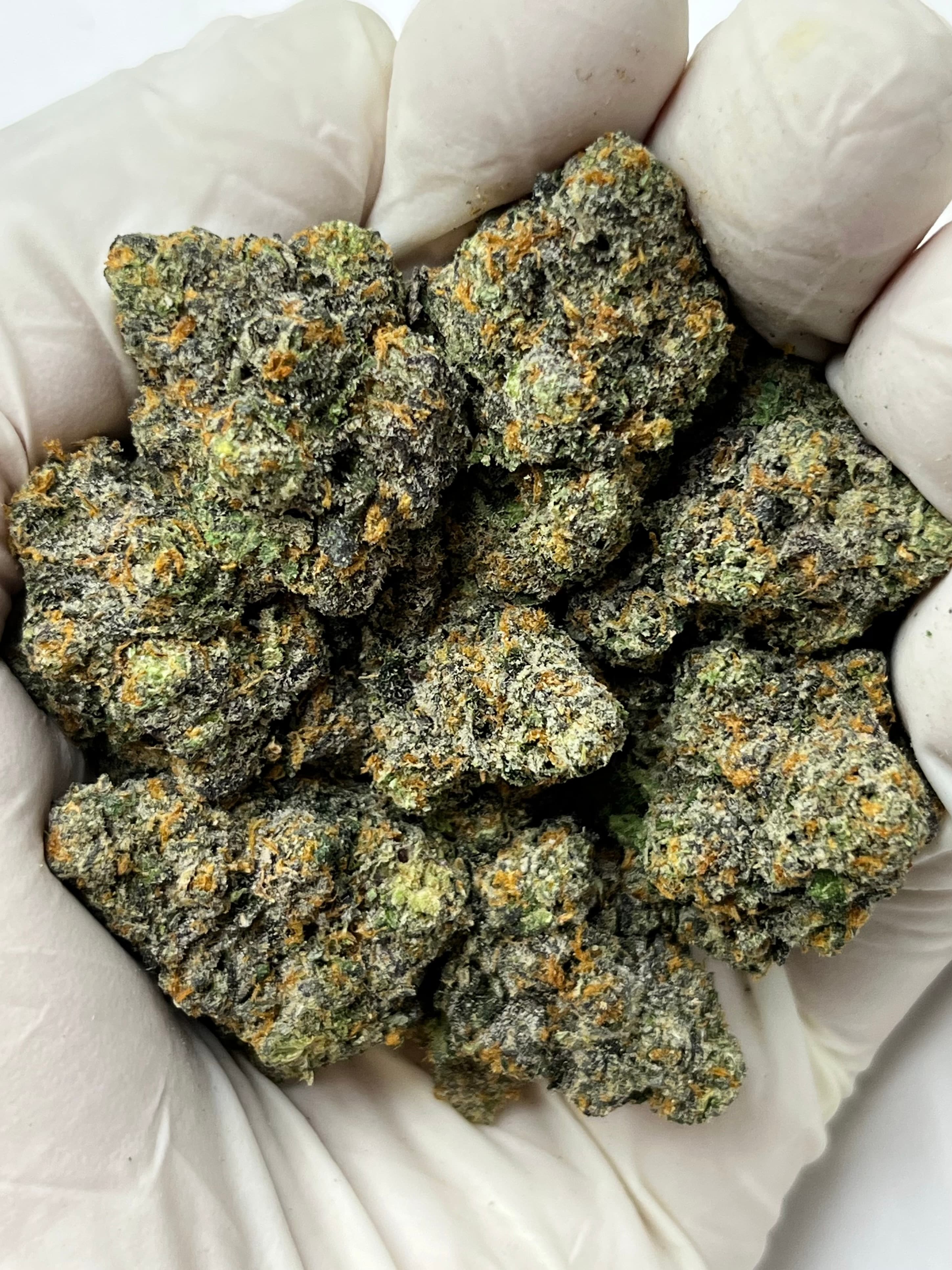 Lemon Fresh, Big, photo