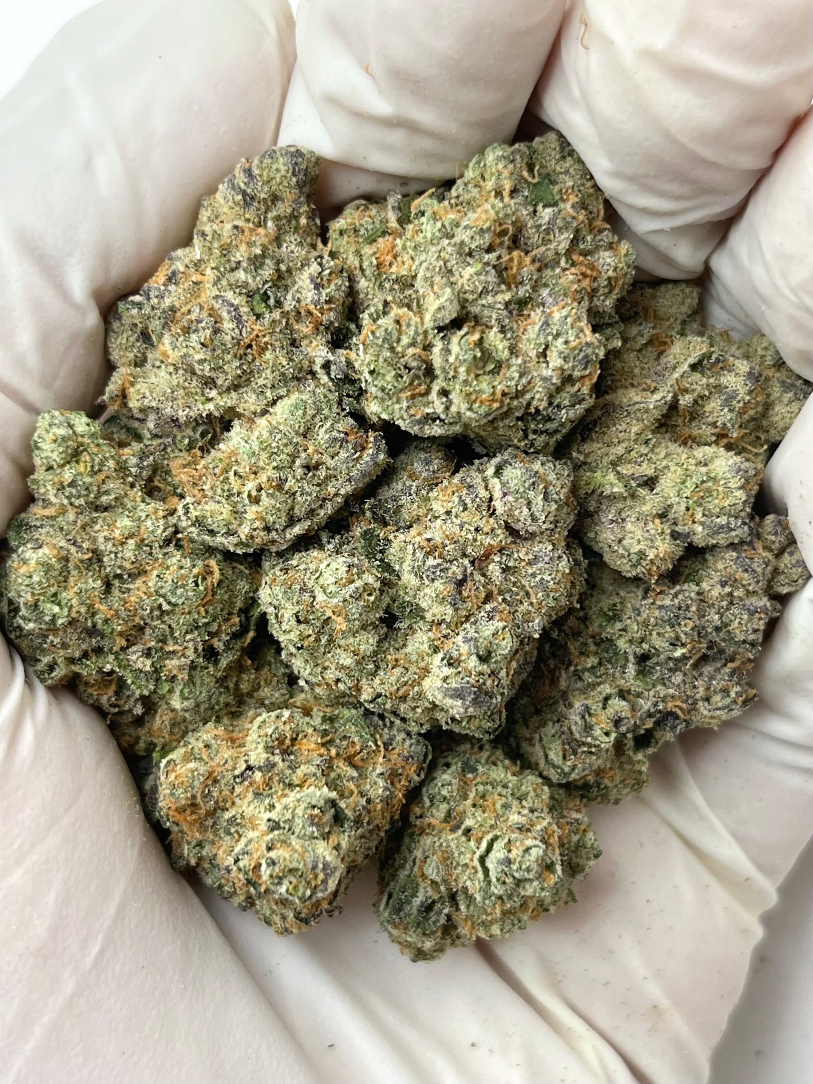 Gary Payton, Small, representative photo of this strain