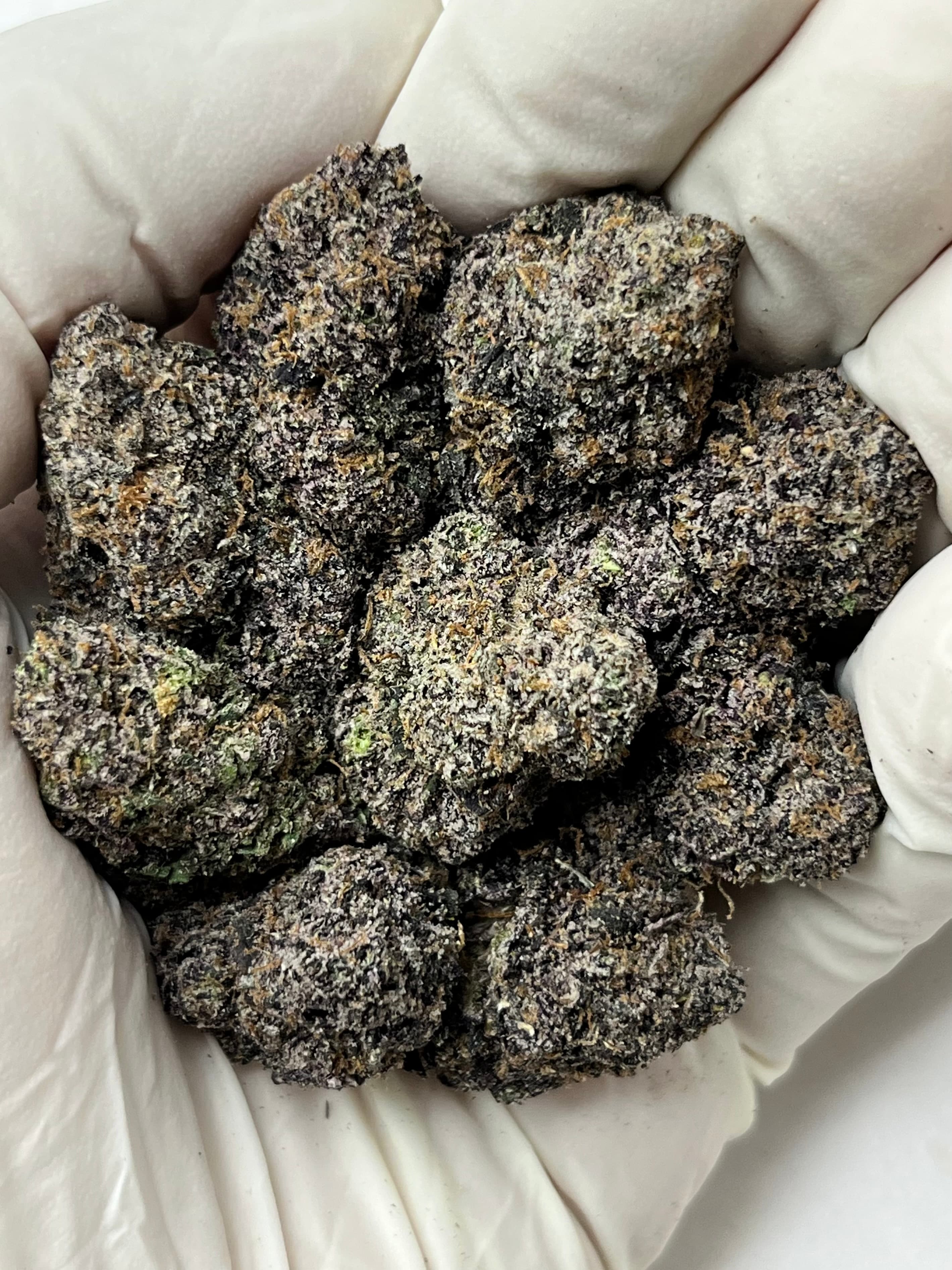 Bacio Gelato, Big, photo