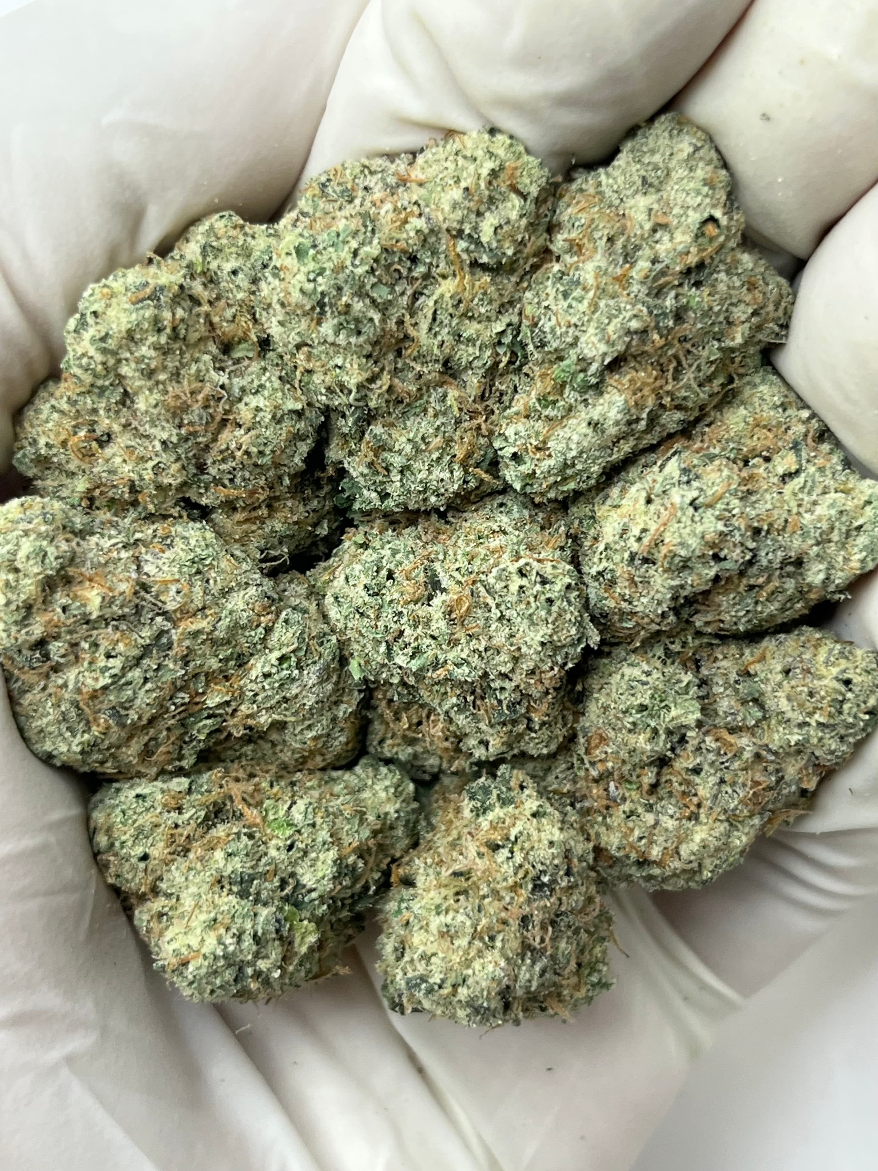 Galactic Warheadz, Big, photo