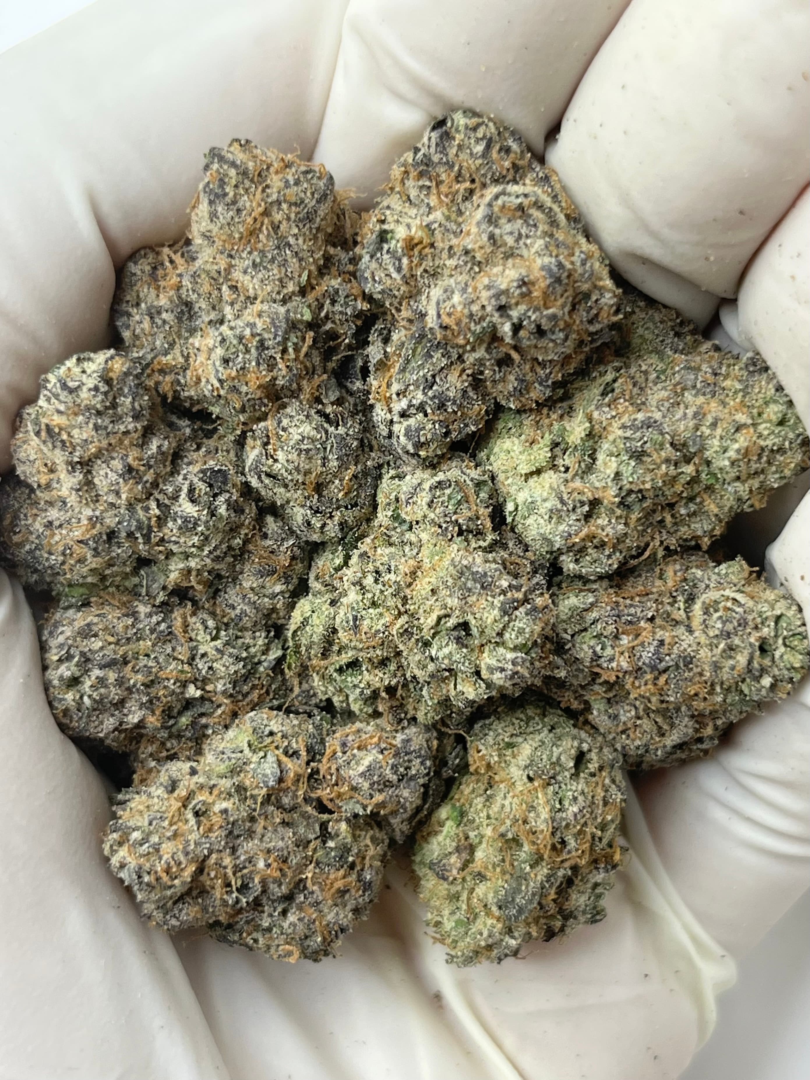 Sour Nerdz, Big, photo