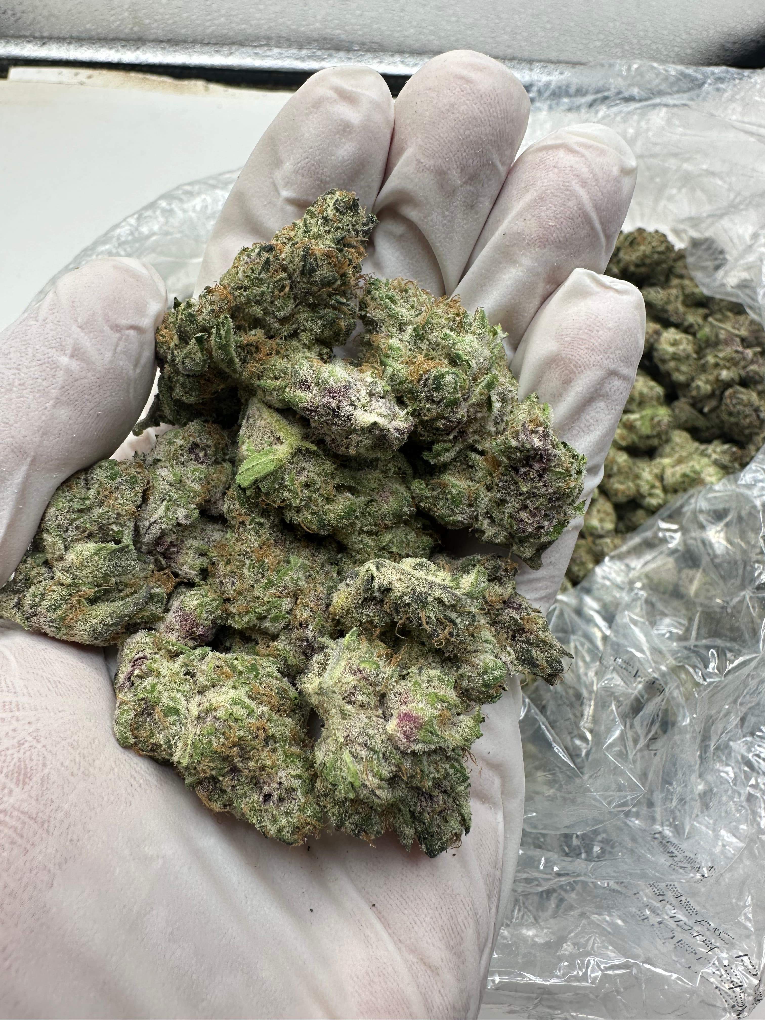 Blockberry, Big, photo